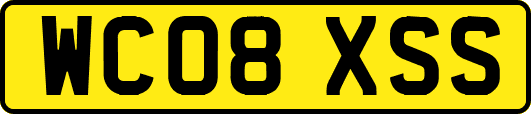 WC08XSS