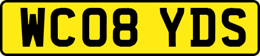 WC08YDS