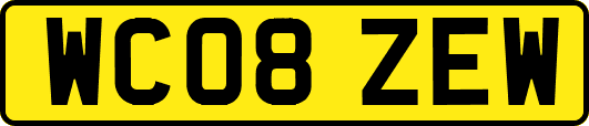 WC08ZEW