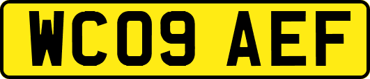 WC09AEF