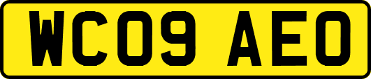 WC09AEO