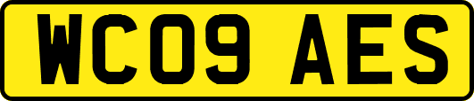 WC09AES