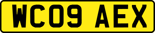 WC09AEX