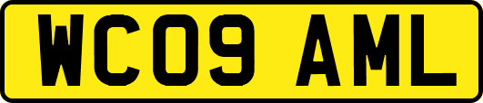 WC09AML