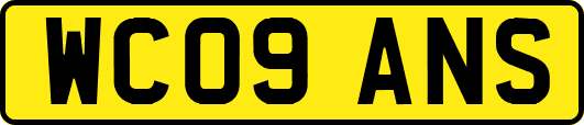 WC09ANS