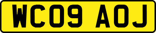 WC09AOJ