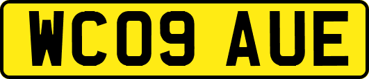 WC09AUE