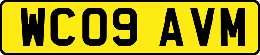 WC09AVM