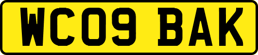WC09BAK