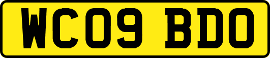 WC09BDO