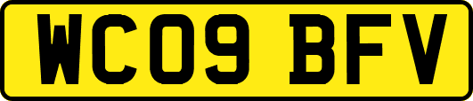 WC09BFV