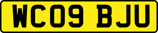 WC09BJU