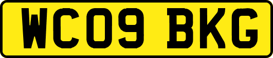 WC09BKG