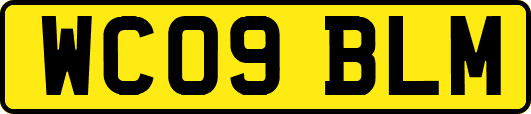 WC09BLM
