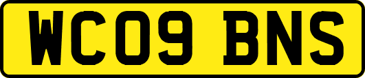 WC09BNS