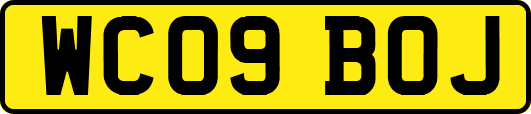 WC09BOJ