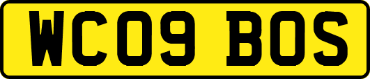 WC09BOS