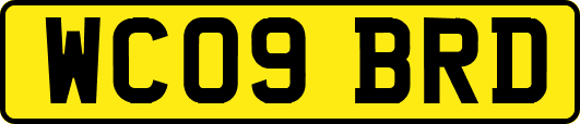 WC09BRD