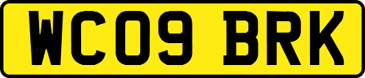 WC09BRK