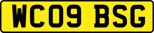 WC09BSG