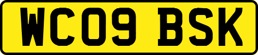 WC09BSK
