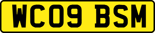 WC09BSM