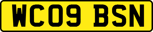 WC09BSN
