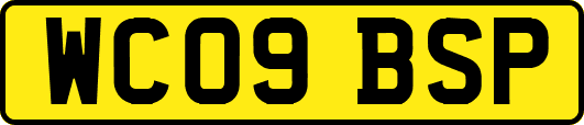 WC09BSP