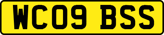 WC09BSS