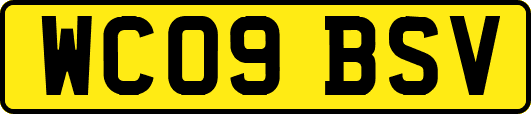 WC09BSV