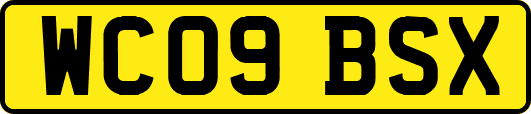 WC09BSX