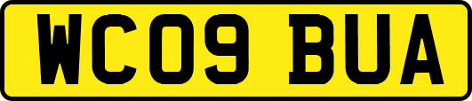 WC09BUA
