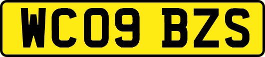 WC09BZS