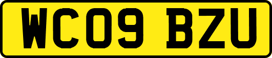 WC09BZU