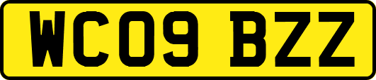 WC09BZZ