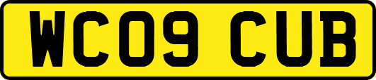 WC09CUB