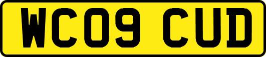 WC09CUD