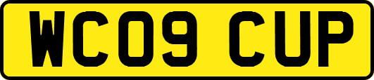 WC09CUP