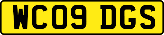 WC09DGS