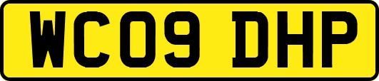 WC09DHP