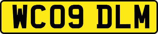 WC09DLM