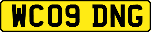 WC09DNG