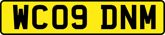 WC09DNM
