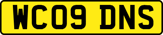 WC09DNS