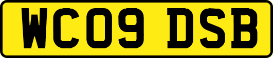 WC09DSB