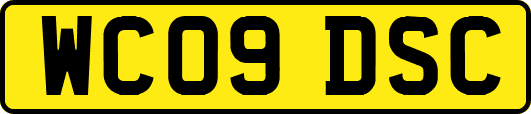 WC09DSC