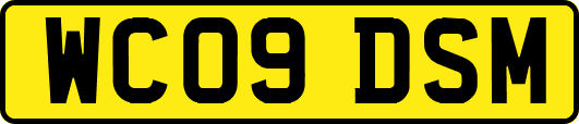WC09DSM
