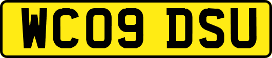 WC09DSU