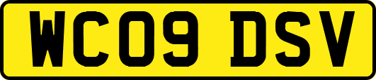 WC09DSV