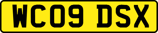 WC09DSX